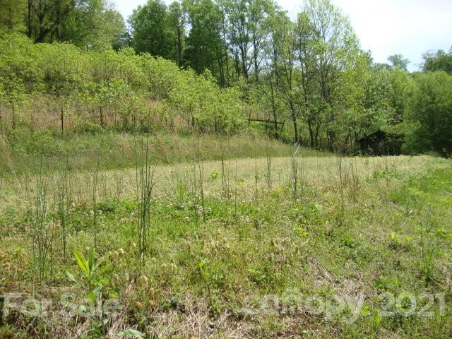 0 Griffin Road Waynesville, NC 28786 - Photo 2 of 10 a view of a lake view