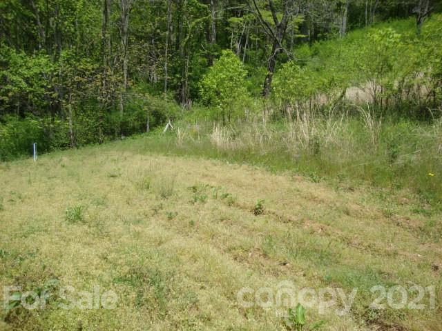 0 Griffin Road Waynesville, NC 28786 - Photo 3 of 10