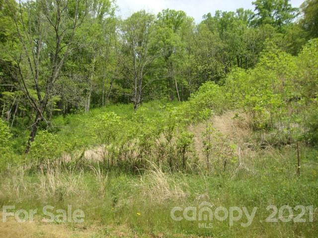 0 Griffin Road Waynesville, NC 28786 - Photo 4 of 10 a view of a lake view