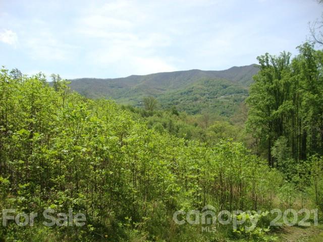 0 Griffin Road Waynesville, NC 28786 - Photo 5 of 10 a view of a lush green forest with trees in the background