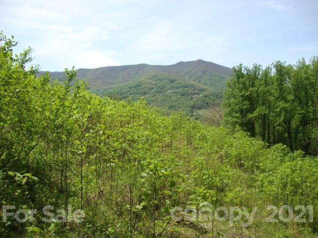 0 Griffin Road Waynesville, NC 28786 - Photo 6 of 10 a view of a mountain in the distance in a field