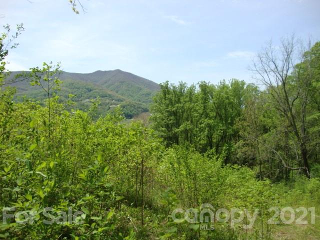 0 Griffin Road Waynesville, NC 28786 - Photo 9 of 10 a view of a lush green field with lots of bushes