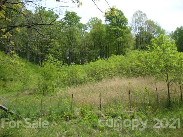 0 Griffin Road Waynesville, NC 28786 - Photo 10 of 10 a view of a lake view with a garden