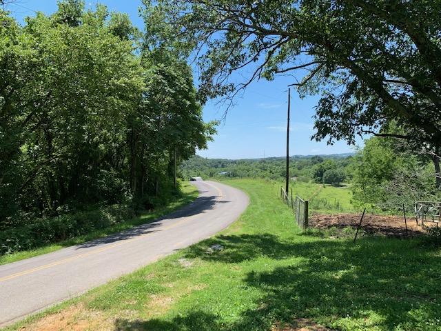 2196 Carmichael Road White Pine, TN 37890 - Photo 18 of 19 IMG_1667
