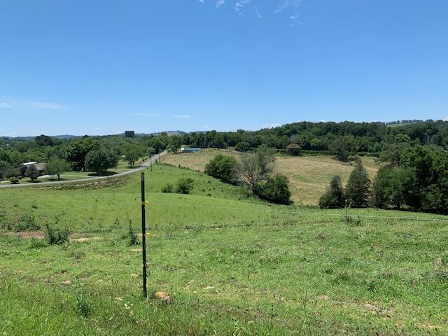 2196 Carmichael Road White Pine, TN 37890 - Photo 19 of 19 IMG_1668