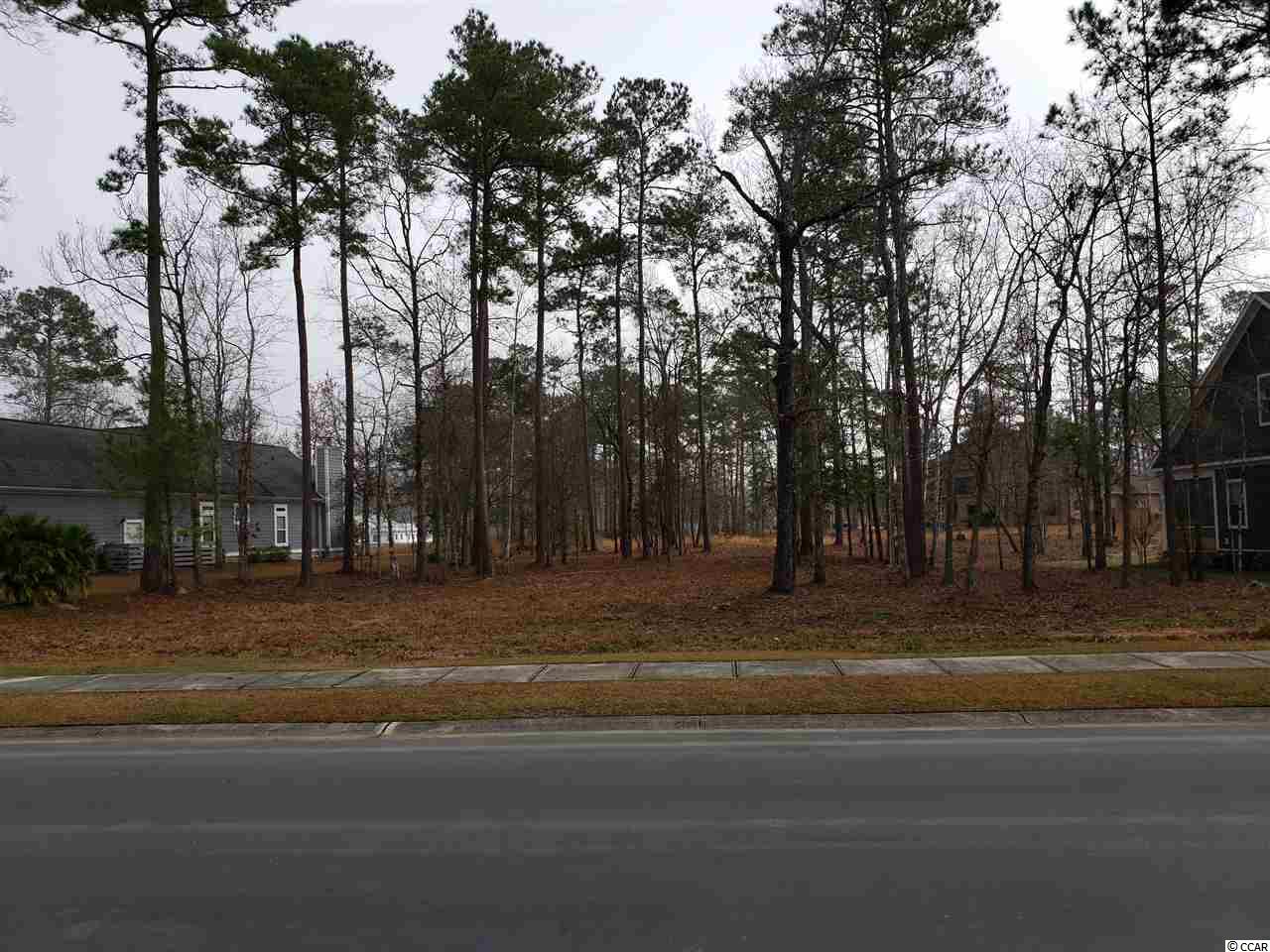 Lot 236 Chamberlin Road Myrtle Beach, SC 29588 - Photo 5 of 34 Gallery Image 5