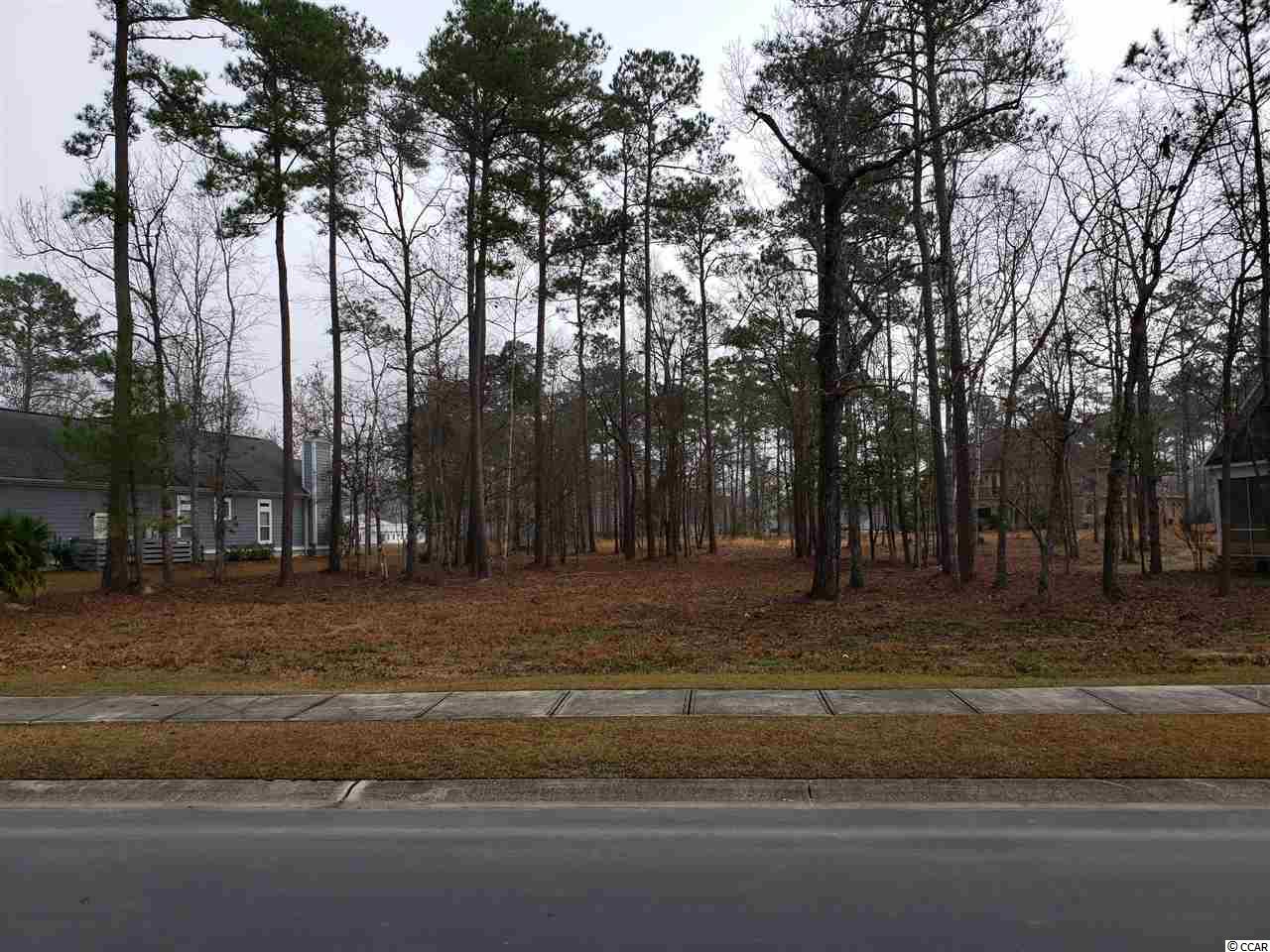 Lot 236 Chamberlin Road Myrtle Beach, SC 29588 - Photo 6 of 34 Gallery Image 6
