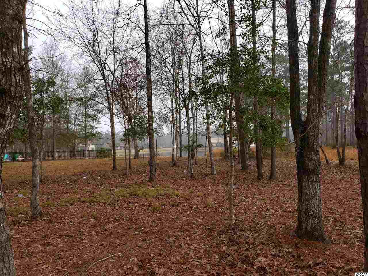 Lot 236 Chamberlin Road Myrtle Beach, SC 29588 - Photo 7 of 34 Gallery Image 7