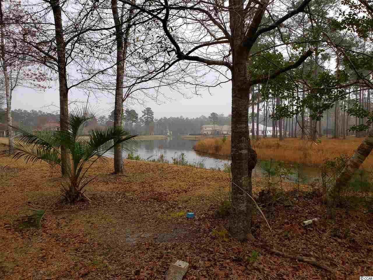 Lot 236 Chamberlin Road Myrtle Beach, SC 29588 - Photo 8 of 34 Gallery Image 8