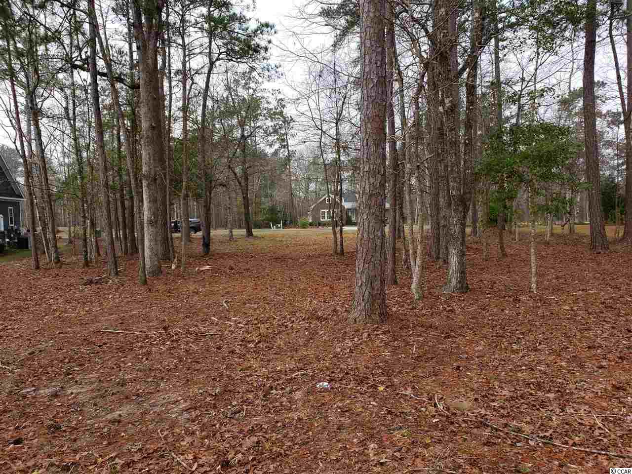 Lot 236 Chamberlin Road Myrtle Beach, SC 29588 - Photo 9 of 34 Gallery Image 9
