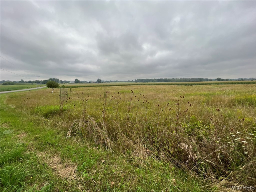 Vl Graham Road Middleport, NY 14105 - Photo 11 of 28