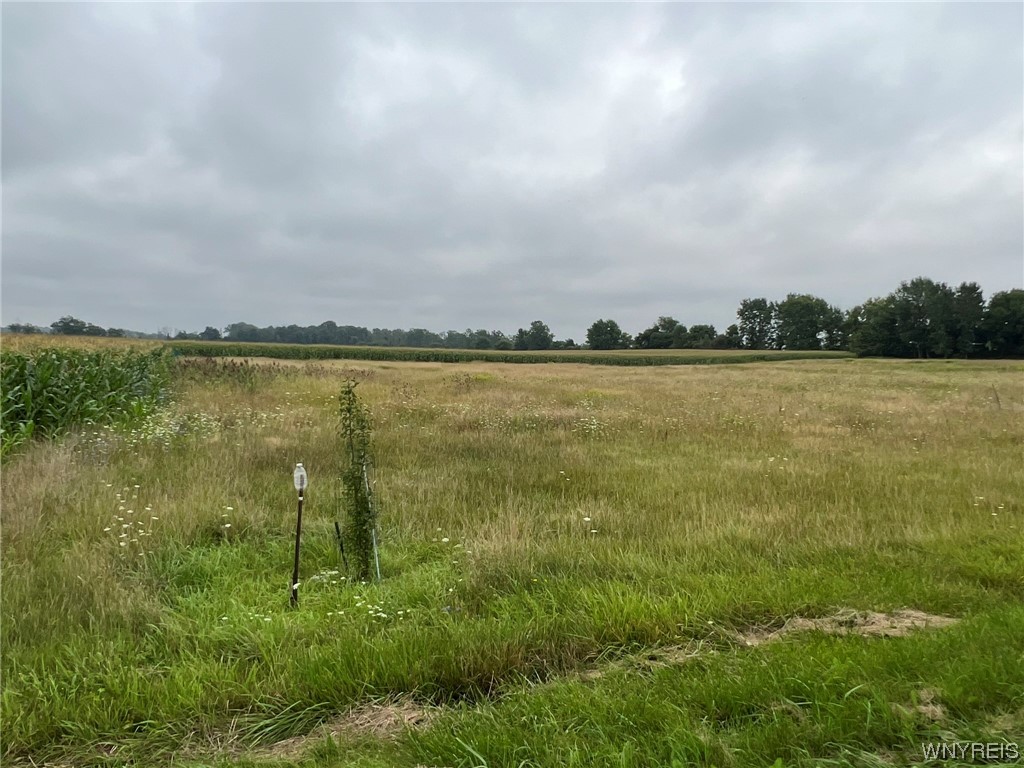 Vl Graham Road Middleport, NY 14105 - Photo 13 of 28