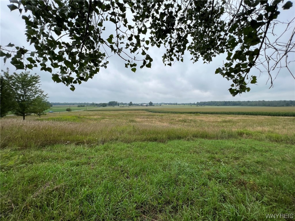 Vl Graham Road Middleport, NY 14105 - Photo 4 of 28