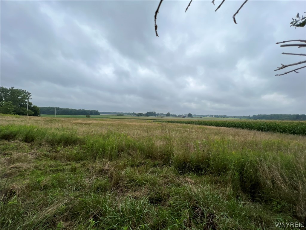 Vl Graham Road Middleport, NY 14105 - Photo 5 of 28