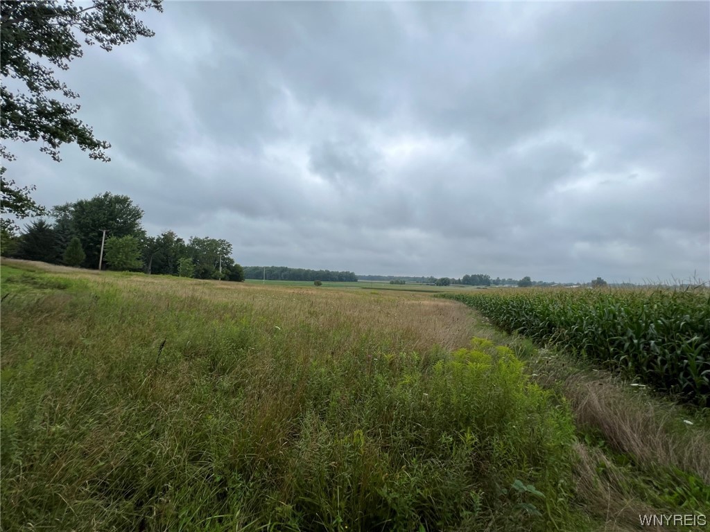 Vl Graham Road Middleport, NY 14105 - Photo 7 of 28