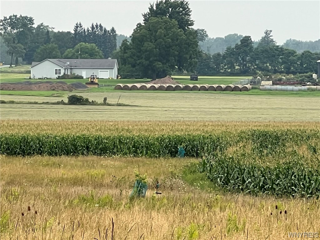 Vl Graham Road Middleport, NY 14105 - Photo 8 of 28