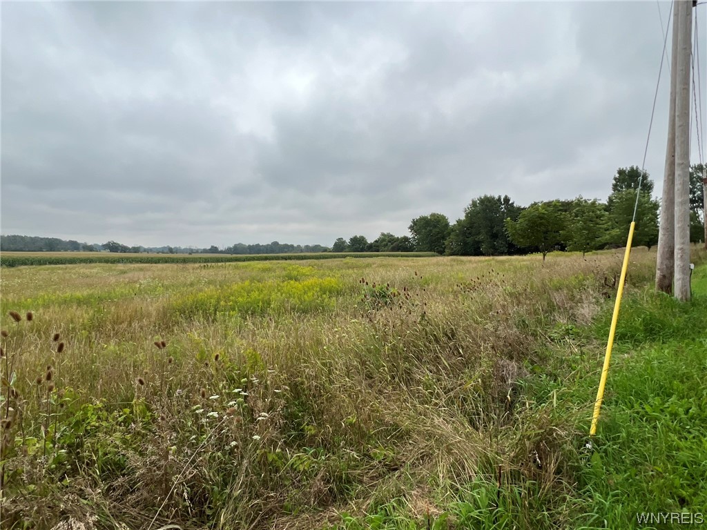 Vl Graham Road Middleport, NY 14105 - Photo 10 of 28