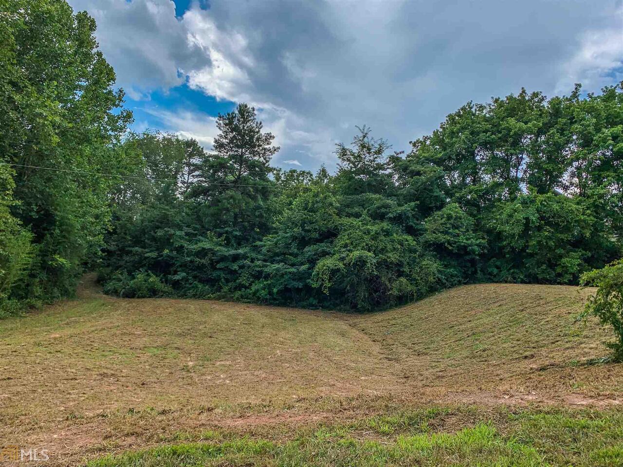 0 East 2nd Street, Unit 1 25 AC Blue Ridge, GA 30513 - Photo 1 of 1 a view of backyard with green space