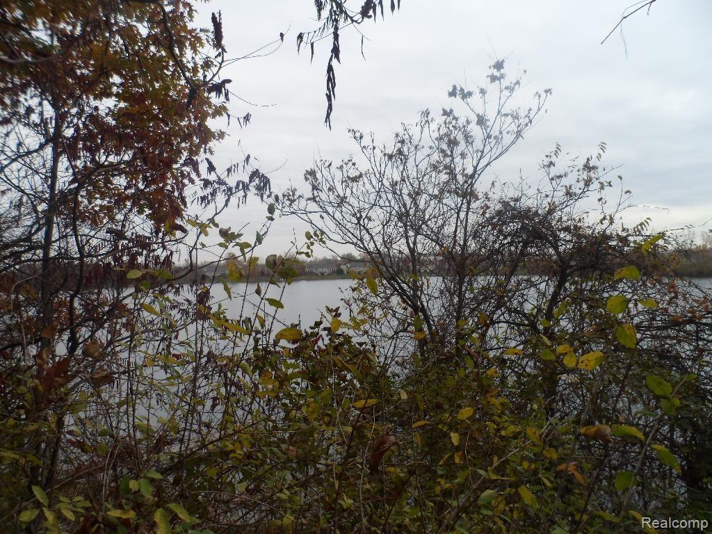 287 Ora Road Oxford, MI 48371 - Photo 17 of 20 Lake View.jpg