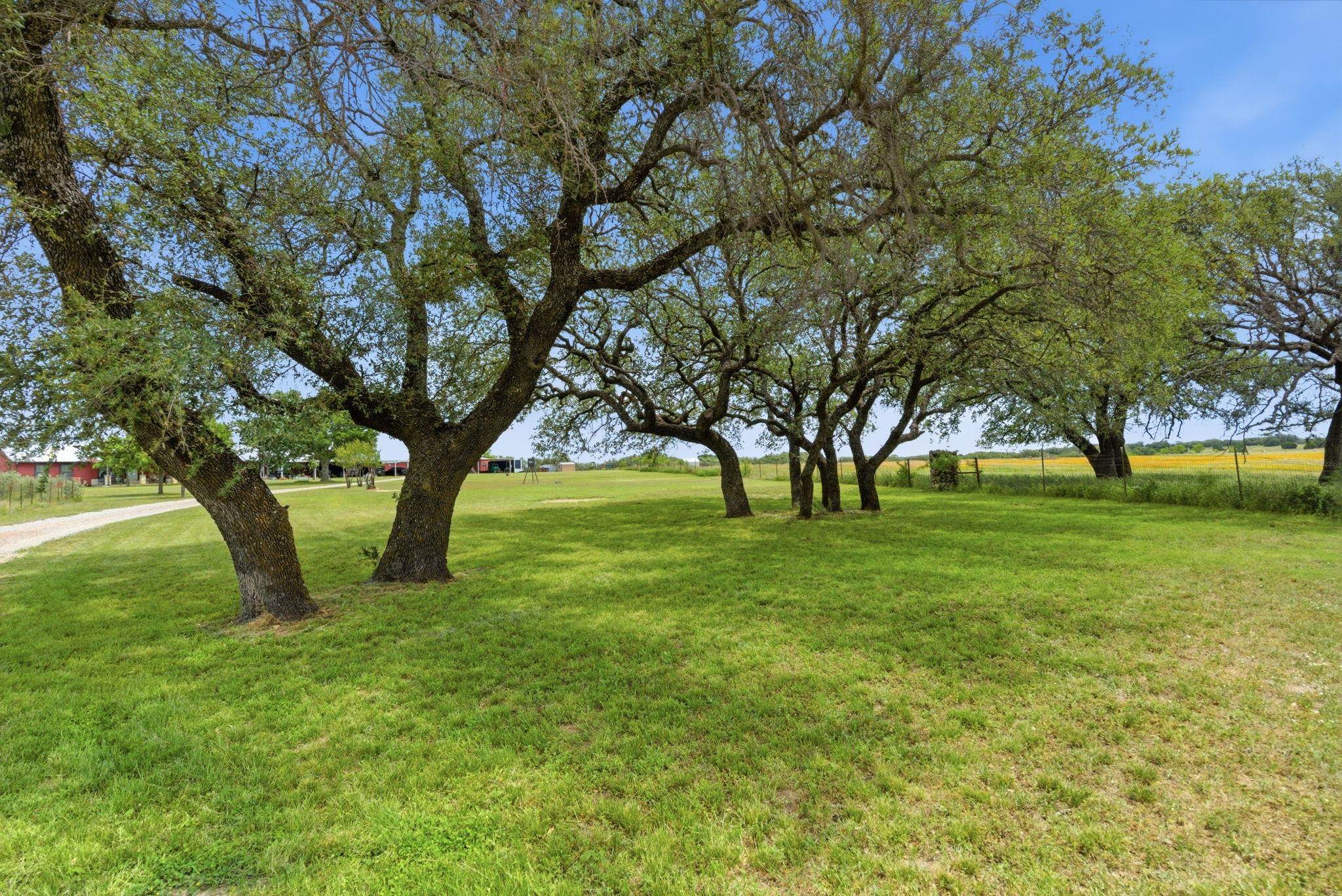 1360 Highway 84 Mullin, TX 76864 - Photo 28 of 44