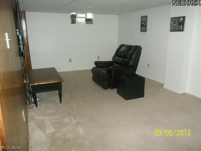 1484 Riverside Drive Akron, OH 44310 - Photo 17 of 20 View 1 of Family room in lower level