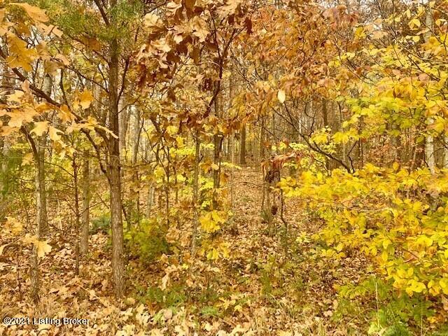 650 Lawler Road Cub Run, KY 42729 - Photo 13 of 23 woods 3