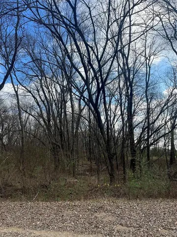 $15,000 | N/a Jackson Avenue, Roxton, TX 75477