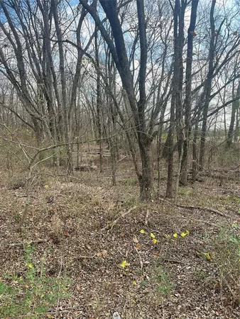 a view of a yard with trees