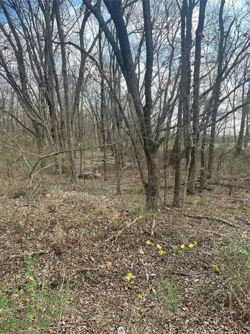 $15,000 | N/a Jackson Avenue, Roxton, TX 75477