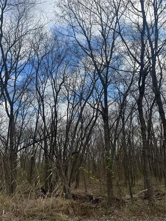 a backyard of a house with lots of trees