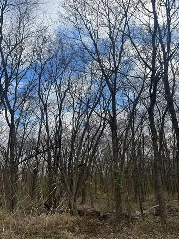 $15,000 | N/a Jackson Avenue, Roxton, TX 75477