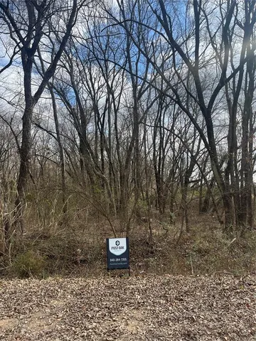 a view of a backyard with large trees