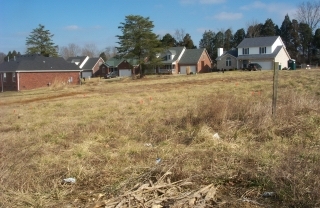 Primary Photo