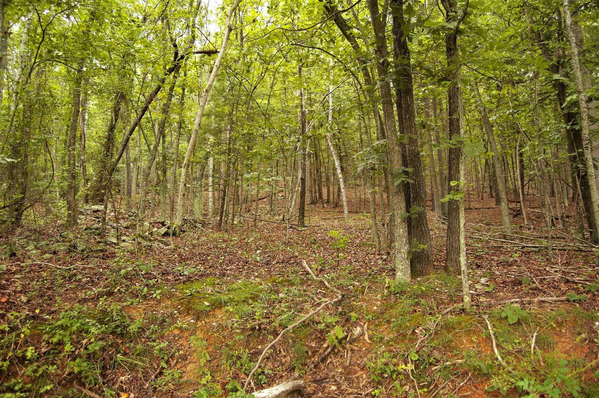Penny Royal Road Pilot, VA 24138 - Photo 11 of 13 Gallery Image 11