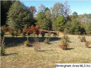 14066 Milldale Road Brookwood, AL 35444 - Photo 2 of 22