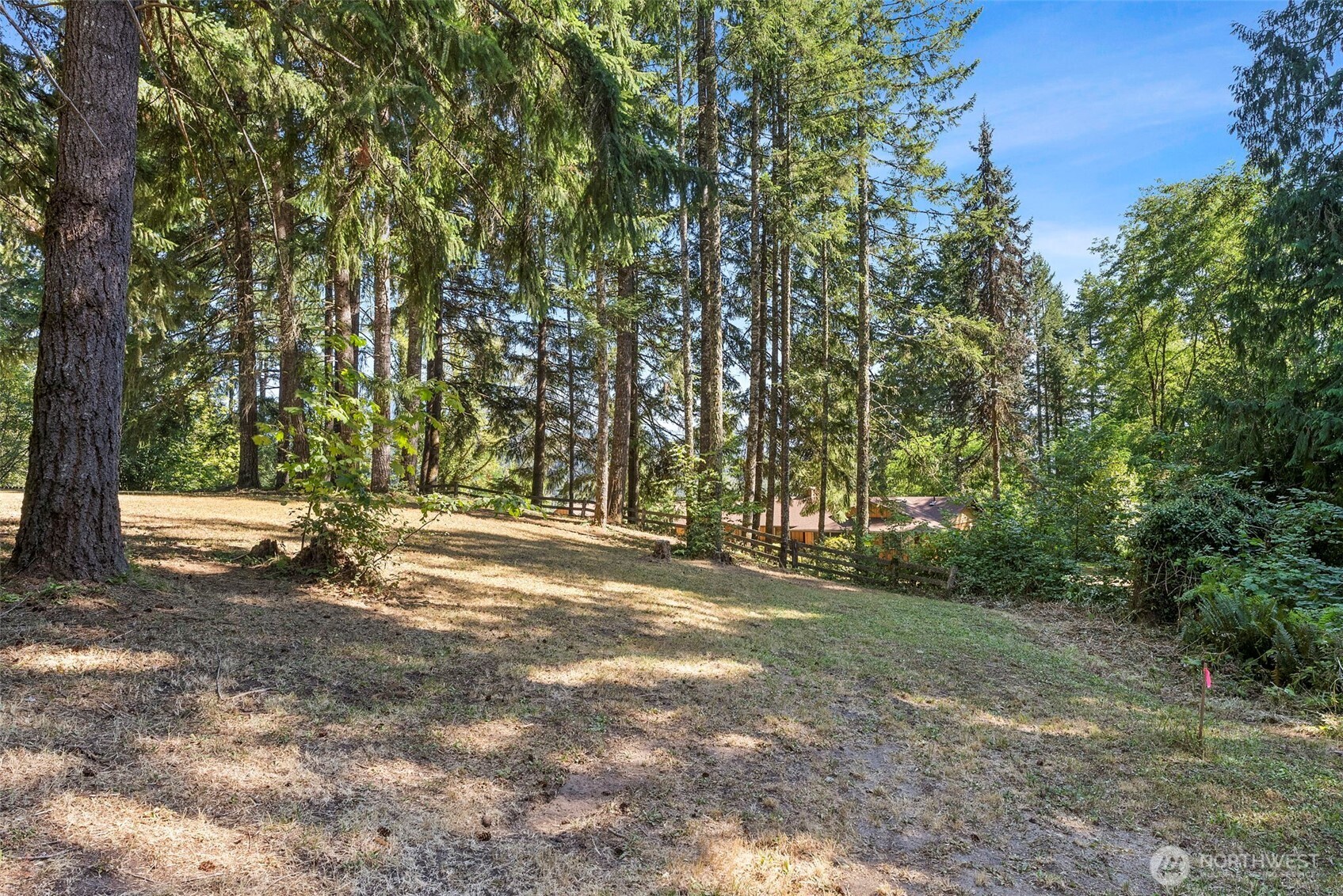 168 Boyd Road Randle, WA 98377 - Photo 33 of 37 Gallery Image 33
