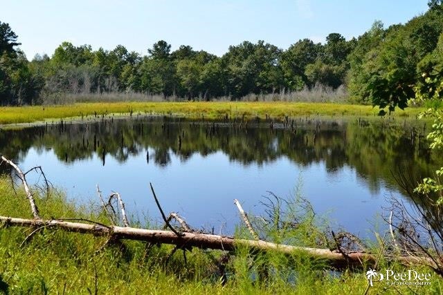 Brocks Mill Road Cheraw, SC 29520 - Photo 1 of 1 Gallery Image 1