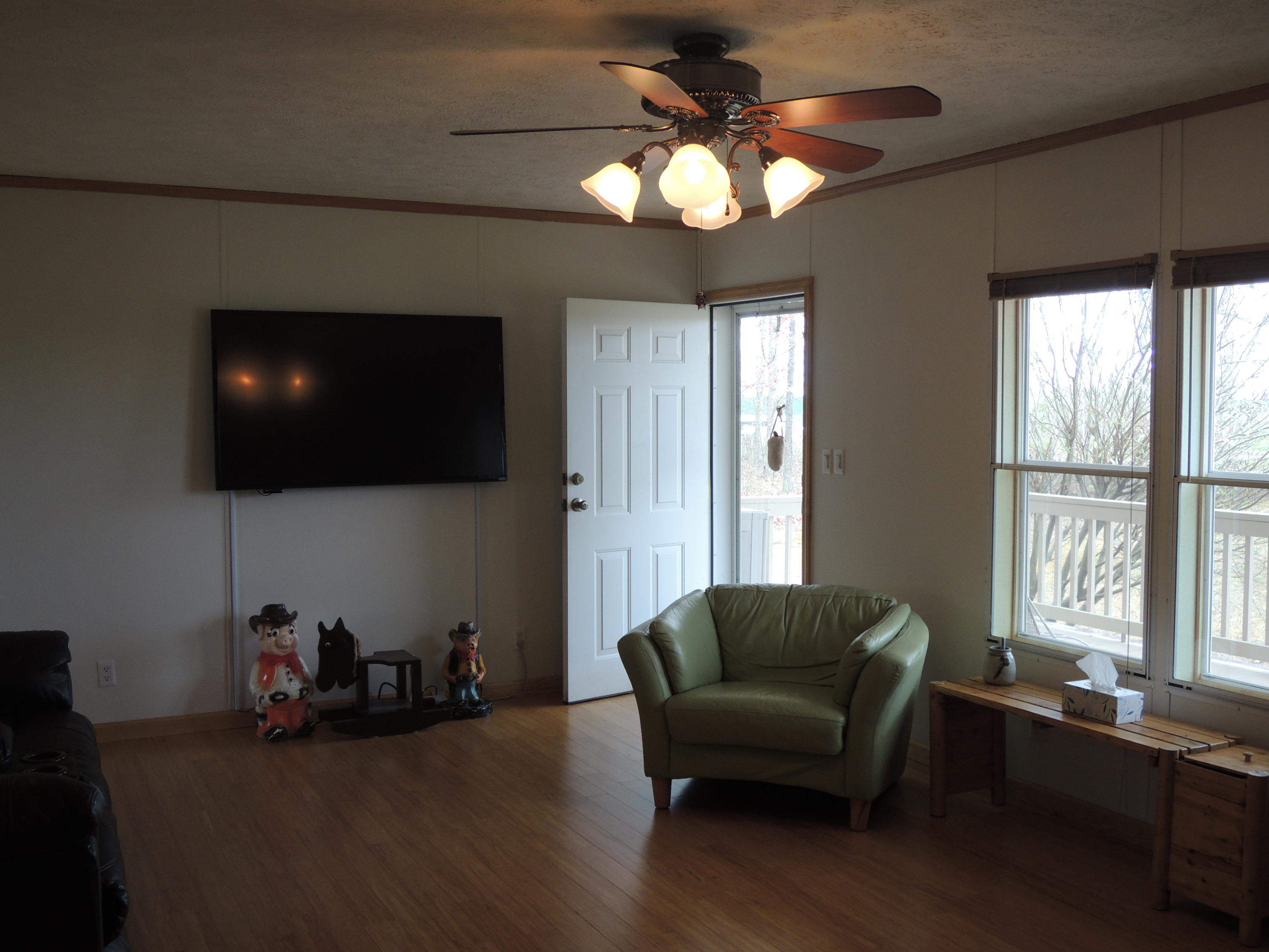 848 Meister Hills Road Deer Lodge, TN 37726 - Photo 15 of 22 DSCN6092
