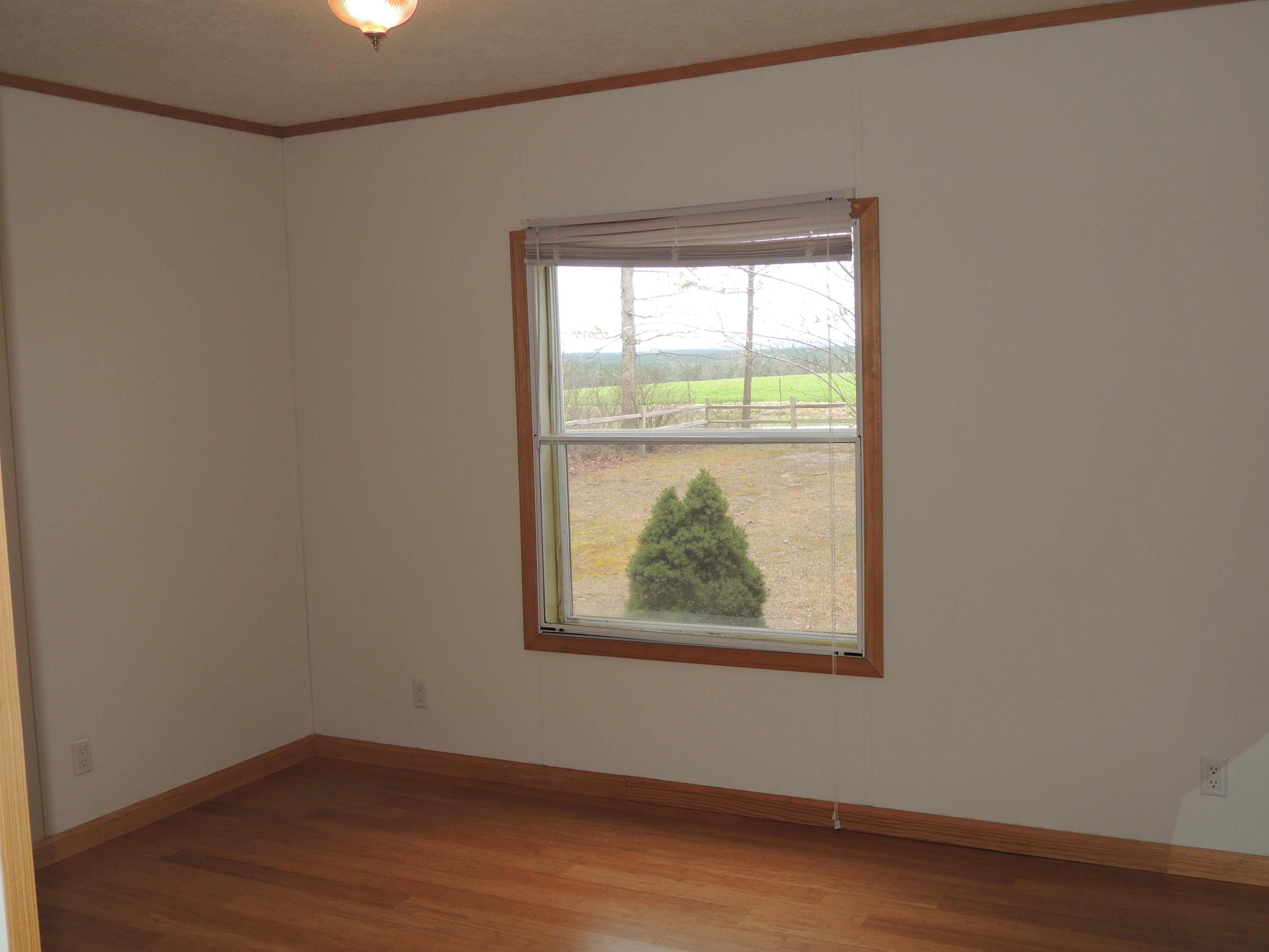848 Meister Hills Road Deer Lodge, TN 37726 - Photo 18 of 22 DSCN6095