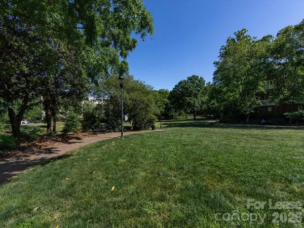 a view of a green field with trees