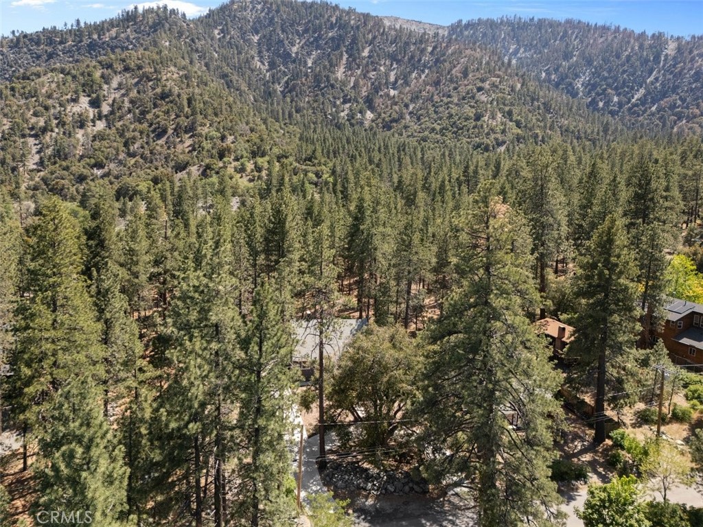 1535 Linnet Road Wrightwood, CA 92397 - Photo 46 of 54