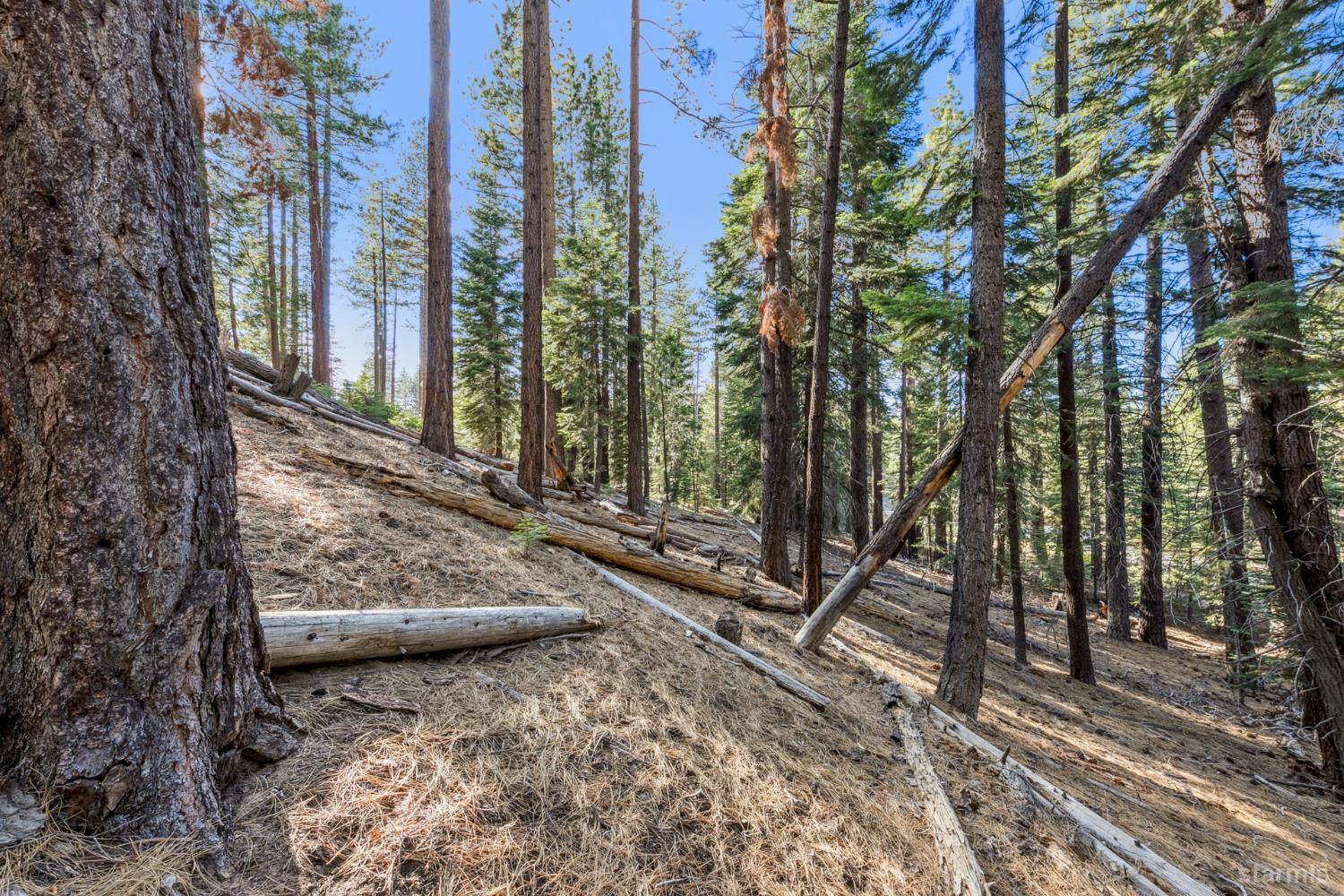 1948 Jicarilla Drive South Lake Tahoe, CA 96150 - Photo 11 of 19