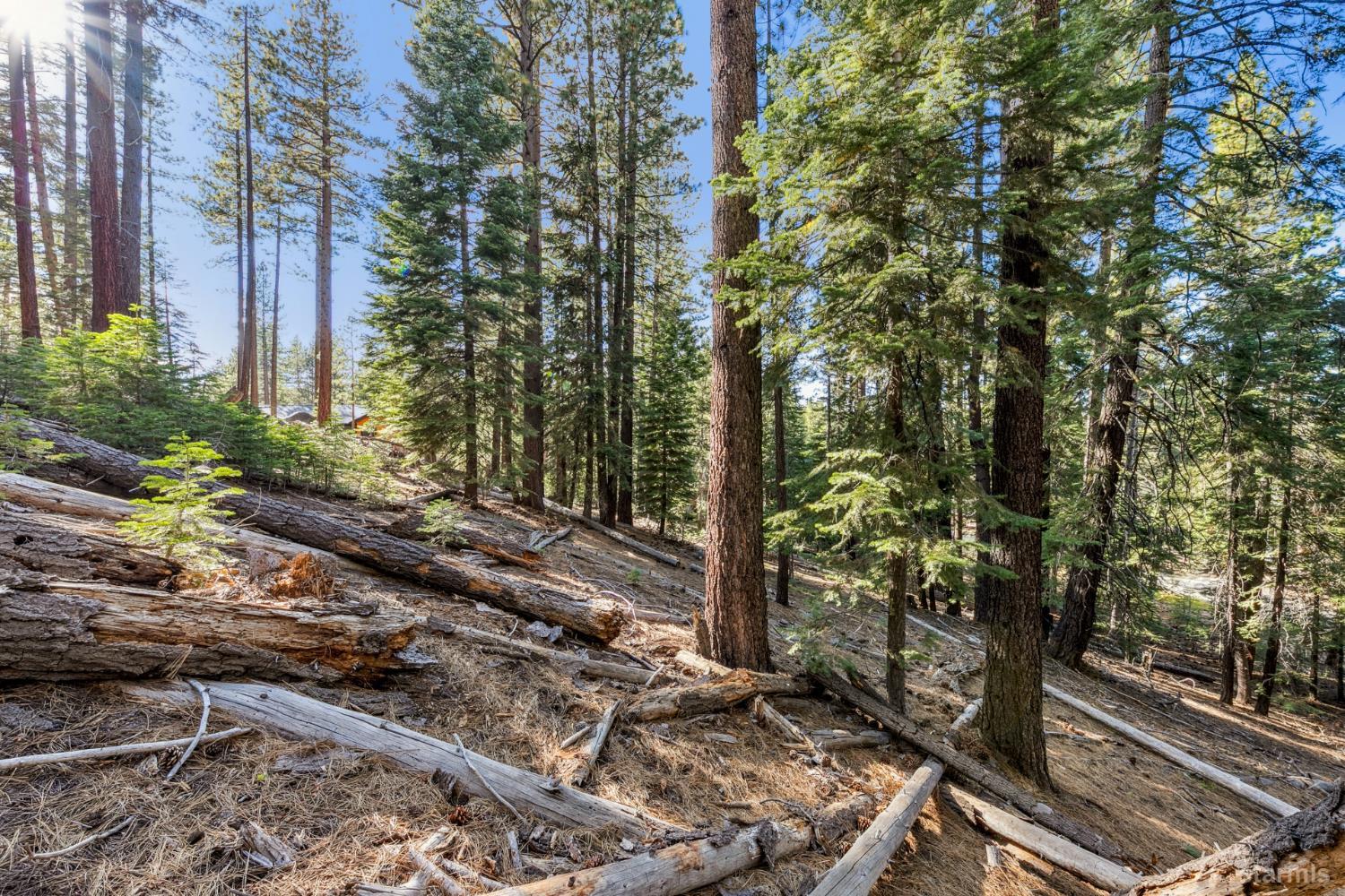 1948 Jicarilla Drive South Lake Tahoe, CA 96150 - Photo 12 of 19