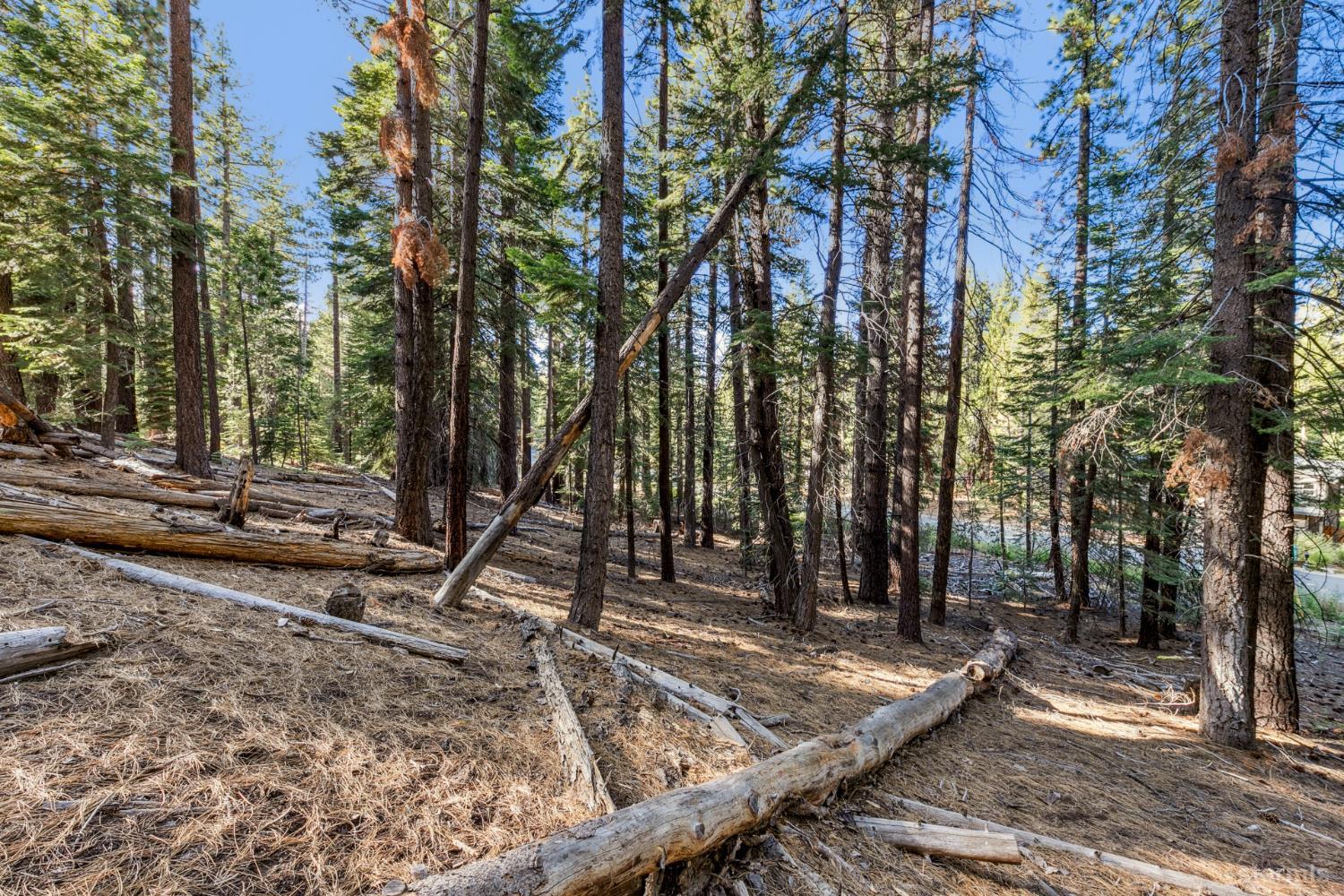 1948 Jicarilla Drive South Lake Tahoe, CA 96150 - Photo 13 of 19