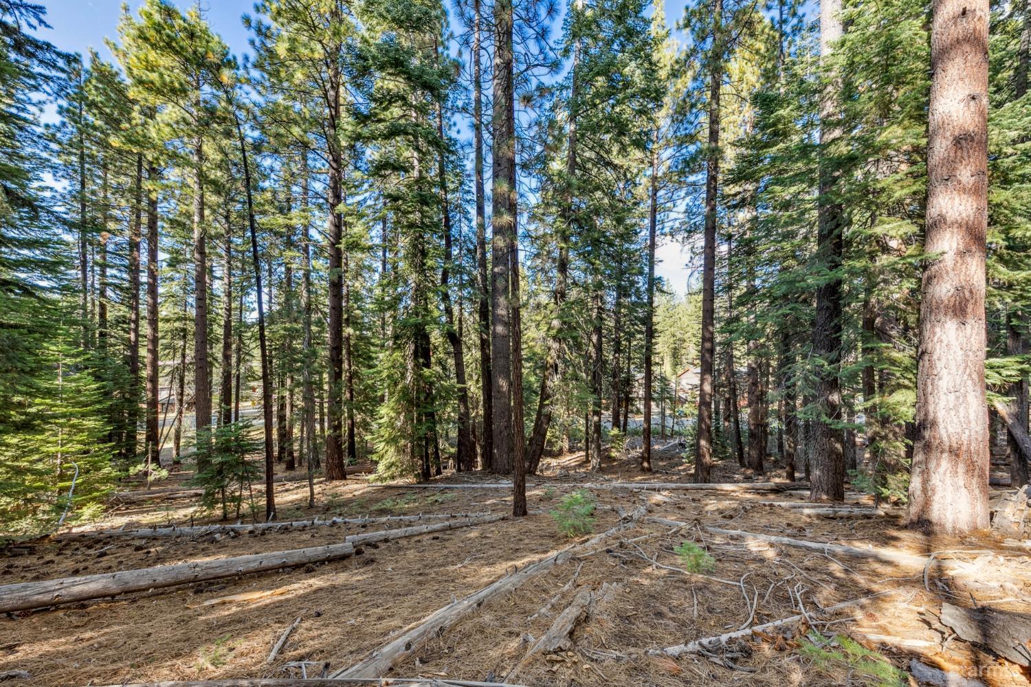 1948 Jicarilla Drive South Lake Tahoe, CA 96150 - Photo 14 of 19