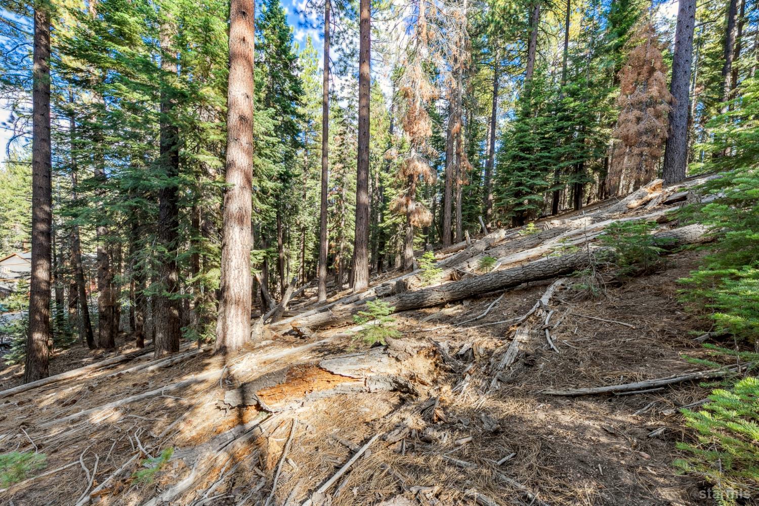 1948 Jicarilla Drive South Lake Tahoe, CA 96150 - Photo 15 of 19