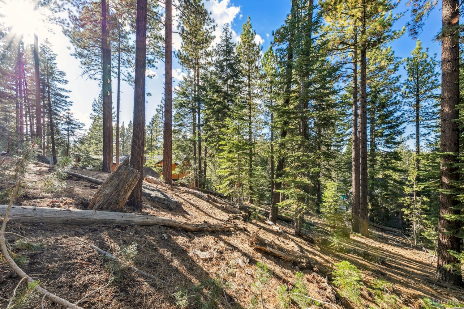 1948 Jicarilla Drive South Lake Tahoe, CA 96150 - Photo 16 of 19