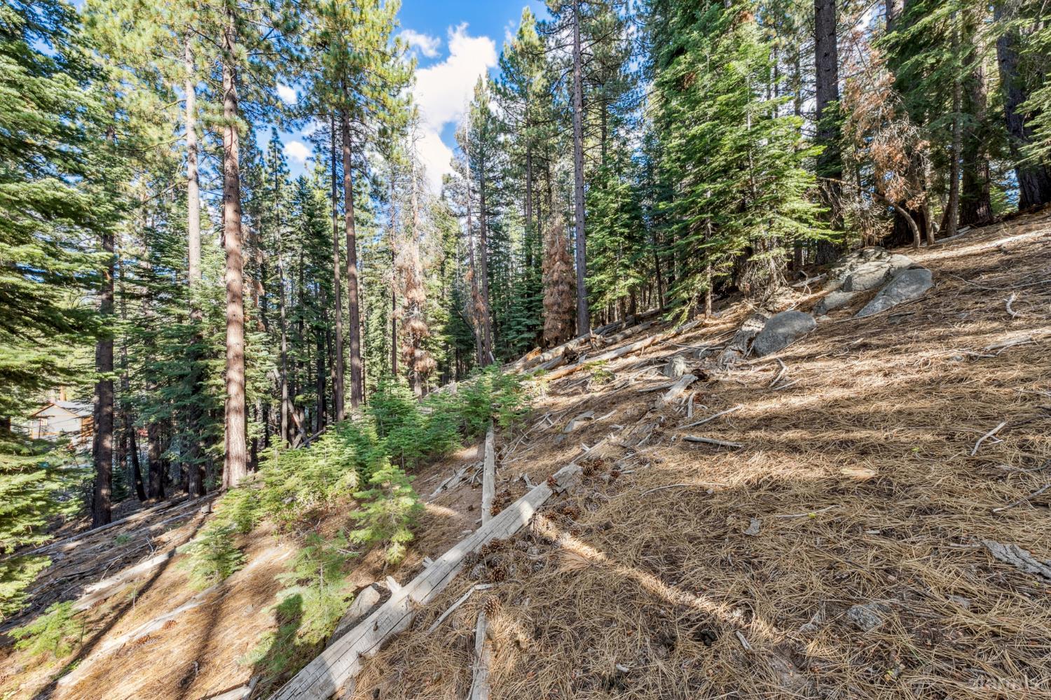 1948 Jicarilla Drive South Lake Tahoe, CA 96150 - Photo 17 of 19