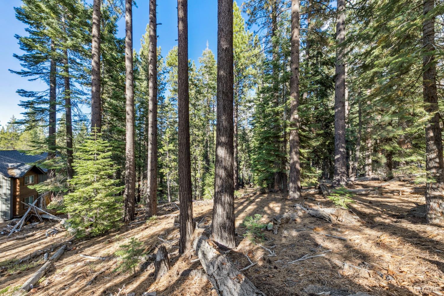 1948 Jicarilla Drive South Lake Tahoe, CA 96150 - Photo 18 of 19