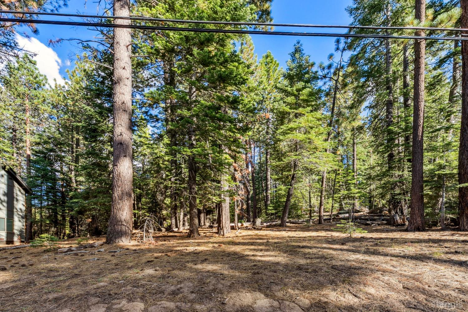 1948 Jicarilla Drive South Lake Tahoe, CA 96150 - Photo 19 of 19